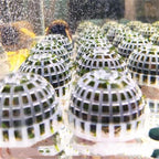 4 Pack Aquarium Moss Ball Shape Holder, Fish Tank Moss Ball Live Plants Shaping Filter Planter, Exotic Moss Accessory Decor Ornaments for Aquarium Shrimp Betta Fish Tank
