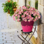 LikSoor Outdoors Artificial Flowers Spring Summer Decor Fake Petunias UV Resistant Flower Faux 12 Bundles Realistic Plastic Plant Porch Patio Window Box Garden Decoration (Rose Red)
