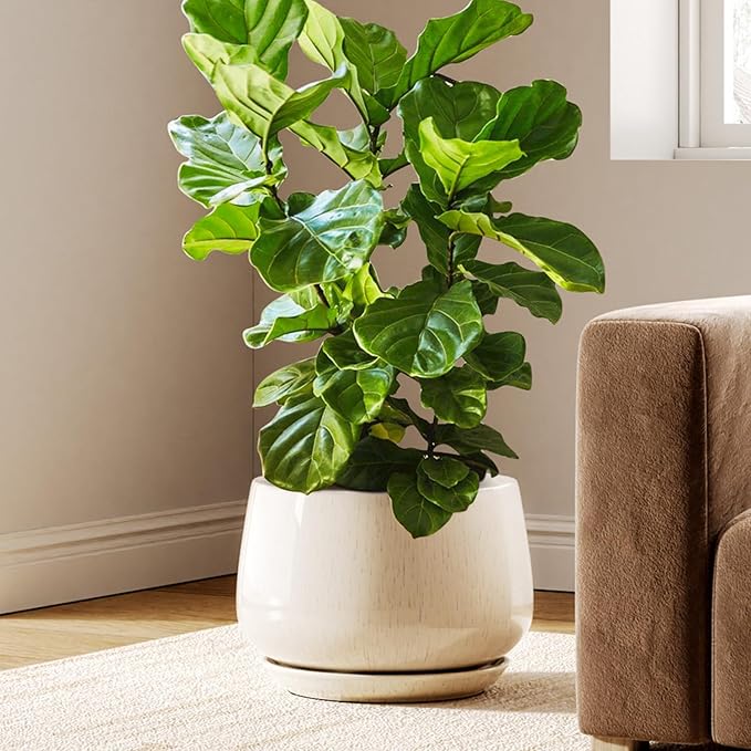 LE TAUCI 12 Inch Pots for Plants, Ceramic Planter with Drainage Hole & Saucer, Thick-Walled Ceramic, Planters for Indoor Plants, Ideal for Living Room & Entryway, Reactive Glaze Beige