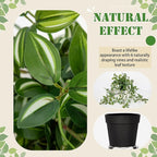 2 Pack Fake Hanging Plants for Shelf in Back Pot, Small Artificial Hanging Ivy Vine Plants Indoor Fake Potted Greenery Plant Decor Room Bathroom Wall End Table Mimi Faux Wandering Jew Plant Set