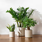 vancasso 6"+8"+10" Ceramic Pot for Plants, Large Outdoor Indoor Planter Pots with Drainage Holes, Set of 3, Grey