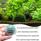 2 Pack Aquarium Moss Ball Holder Professional Plastic Moss Plant Holder with Hollow-Designed for Fish Tank Accessories (2)