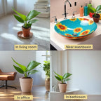 Live Bird of Paradise Plants in 4" Pot - Pet Safe Air Purifying Indoor Houseplants Flowers for Home Office Wedding Decor & Birthday Gift (Heat Pack Included)