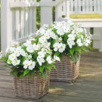 CITYES 4 Pcs Artificial Flowers Outdoor Impatiens UV Resistant Silk Impatiens Flowers White Faux Flowers Impatiens Bushes Artificial Impatiens for Pot Patio Lawn Garden Hanging Basket Porch Decor