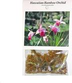 1 Pack Arundina Graminifolia Roots - Bamboo Orchid 2 Roots Each Pack TYR43