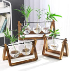Kingbuy Plant Terrarium Propagation Station - 3 Glass Bulb Vases with Retro Wooden Stand Boho Desktop Planter for Hydroponics Home Garden Indoor Home Office Decor Unique Gifts for Women & Plant Lovers
