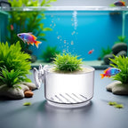 Transparent Round Aquatic Planter Cups with Hole,Mini Acrylic Aquatic Plant Pot Aquarium Plant Holder with Suction Cup Aquarium Décor,for Shrimp Fish Live Décor