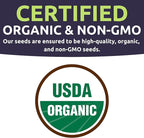 Organic Rainbow Blend Pumpkin Seeds – Two Seed Packets! Over 15 Open Pollinated Non-GMO Seeds – Sweet Yards Seed Co.