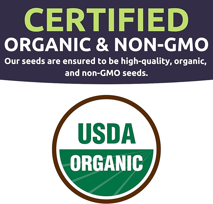 Sweet Yards Seed Co. Organic Enchanted Sweet Corn – Two Seed Packets! – Approx. 30 Open Pollinated Non-GMO Seeds 60 Total