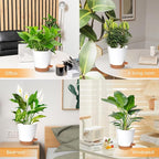 Vanslogreen Planters for Indoor Plants 7/6.5/6/5.5/5 Inch, Self Watering Planters with Drainage Holes and Saucers 5 Pack Plastic Pots for Plants, Succulents, Herbs, Cactus, Flower Pots, White