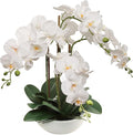 Larksilk 20" White Phalaenopsis Orchid Flowers in 8" Round White Pot | Realistic Faux Orchid | Elegant Indoor Decor for Home & Office