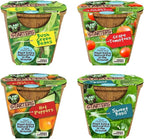 Unique Gardener Plant-It Starters Plant Seeds 4 Variety Pack, DIY Indoor Succulents and Live Plants for Home or Garden Planting, Assorted Seed