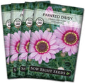 Sow Right Seeds - Painted Daisy Seeds for Planting - Non-GMO Heirloom Seeds Packet with Instructions - Wonderful Pink Blooms to Attract Pollinators - Cut and Come Again - Rare and Attractive (4)