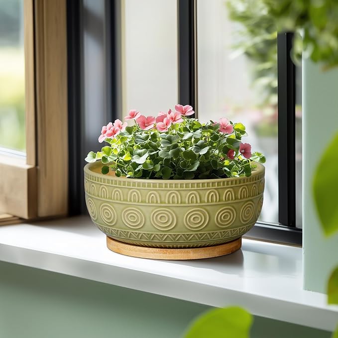 Eightpot Bonsai Pots - 8 Inch Ceramic Succulent Pots with Drainage Hole and Saucer, Shallow Round Planter for Indoor Plants, Boho Bowl Planter, Room Decor, Green