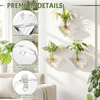 Yungyan 6 Pack Glass Wall Vase Plant Propagation Wall Hanging with Nail Hooks Diamond Propagation Station Flower Vase Glass Terrariums Plant Hanger for Home Office Bathroom Living Room Decor