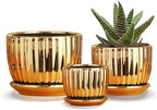 Ton Sin Gold Plant Pots,4.1+5.1+6.5 Inch Ceramic Succulent Planters Set of 3 Mini Indoor Flower Pot with Drainage,Handmade Decorative Ceramic Orchid and Herb Pots(Gold)