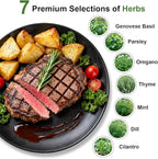 Gourmet Herb Seed Pod Kit for AeroGarden, idoo, Ahopegarden, MUFGA with Basil, Parsley, Thyme, Mint, Cilantro, Dill, Oregano - Hydroponics Supplies for Most Brand (7-pod)