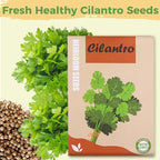 Cilantro Seed Pods Kit Hydroponic - Refill Herb Pod for All Indoor Garden, 8 Grow Pods with Seeds of Cilantro & Plant Food, Compatible with All Hydroponics Growing Systems