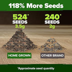 HOME GROWN Zinnia Dahlia Seeds Pack for 2026 Non GMO 524 Flower Seeds | Vibrant Zinnia Elegans for Pollinator Gardens, Borders & Containers | Easy-to-Grow Outdoor Blooms