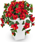 Briful 27.5" Artificial Hibiscus Plant in Tall White Planter, Large Faux Tropical Flower Arrangement for Front Door Porch Patio Balcony Outdoor Indoor Decoration, UV Resistant Fake Red Hibiscus Tree