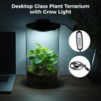 Desktop Glass Plant Terrarium with Grow Light 10 X 6IN - Planter for Succulent Moss Miniature Gardening Landscape, Fish Tank Indoor Plant Growth Office Home Decoration Plant Lovers Gifts