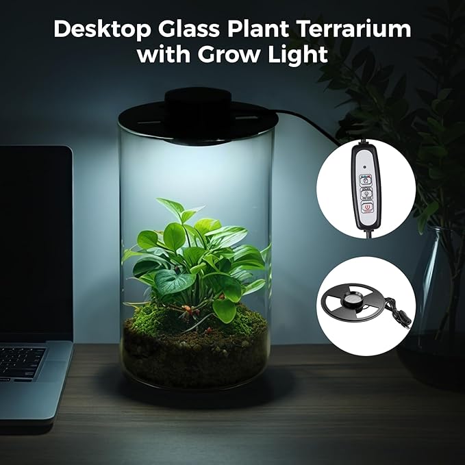 Desktop Glass Plant Terrarium with Grow Light 10 X 6IN - Planter for Succulent Moss Miniature Gardening Landscape, Fish Tank Indoor Plant Growth Office Home Decoration Plant Lovers Gifts