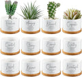 Fumete 12 Pcs Bible Verse Succulent Pots with Tray Drainage, 3 x 2 in Inspirational Mini Ceramic Flower Planter Christian Religious Gifts for Women Men Teacher Guest Staff Church(Affirmation Series)