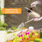 Metal Watering Can for Outdoor Plants, Galvanized Steel Watering Can with Removable spout, 1 Gallon,Perfect Home & Garden Decor Gold