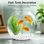 Terrarium Supplies,Virekm River Rocks Decorative Ornamental Pebbles,Garden Landscaping Stones,Gravel Filler for Home Decoration Flower Bed Fish Tank Plants Vases Succulents (1, White, 1 Pounds)