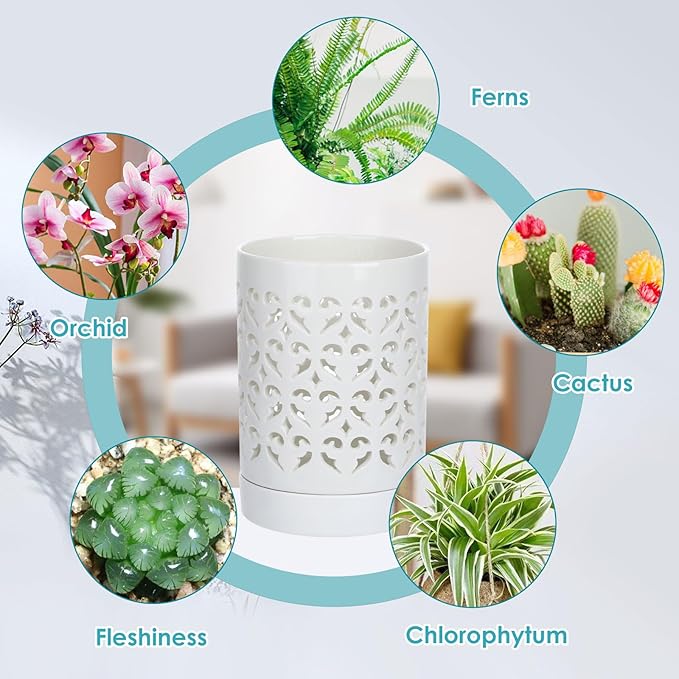mwellewm Orchid Pot with Holes Ceramic Plant Pots Indoor Outdoor Flower Pots for Repotting with Drainage and Saucer 4 Inch Breathable Slotted Orchids Planter (White)