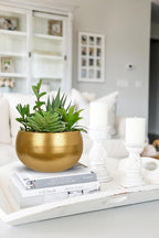 Hollyone Fake Plants Artificial Succulents in Pots Faux Succulent Arrangement Potted Plant with Gold Ceramic Planter Bowl for Home Decor Office Desk Bathroom Shelf Living Room Indoor Decorations