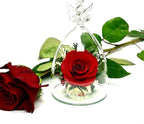Fiora Flower | Long Lasting Real Roses in a Sealed Vase | Lasts up to 5 Years | Unique Present Gift