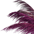 Pampas Grass Decor Tall,Long Pampas, Large Pompas Floral, Elegant Feather Flowers for Wedding Decorations, Living Room Decor (Natural Purple, 4pcs 43.3"(110cm))