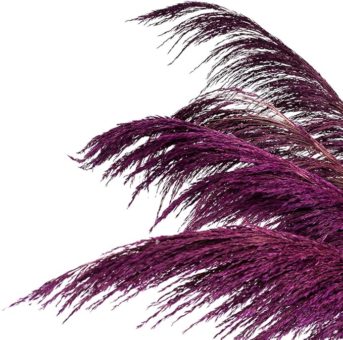Pampas Grass Decor Tall,Long Pampas, Large Pompas Floral, Elegant Feather Flowers for Wedding Decorations, Living Room Decor (Natural Purple, 4pcs 43.3"(110cm))