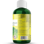 GARDENWISE Organic Premium Seaweed Fertilizer - Liquid Kelp Plant Food for Aroid Houseplants: Monstera, Philodendron, Pothos, ZZ Plant, Dieffenbachia, Alocasia, Caladium (16 OZ)