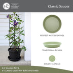 The HC Companies 8 Inch Classic Round Plant Saucer, Lightweight UV-Resistant Plastic Outdoor & Indoor Flower Pot Tray, 4-Pack Plant Pot Trays for Garden & Home Decor, Seafoam