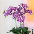 DUYONE 35 Inch Artificial Butterfly Orchid Flowers 4 Pcs with 4 Bundles Leaves Artificial Orchid Flowers Stem Plants for Home Décor (Deep Purple)