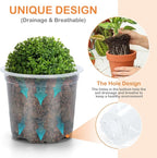15 Pack Clear Nursery Pots with Drainage Holes, 3 Inch Seed Starting Plastic Plant Pots, Transparent Variety Pack Flexible Garden Pot for Outdoor Indoor (Clear, 3 Inch)