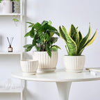 STHIE 4/5/6 Inches Ceramic Plant Pots with Drainage Holes and Saucers, Round Flower Pots for Indoor Plant, Modern Flower Planters Set of 3 (White-Big Size)