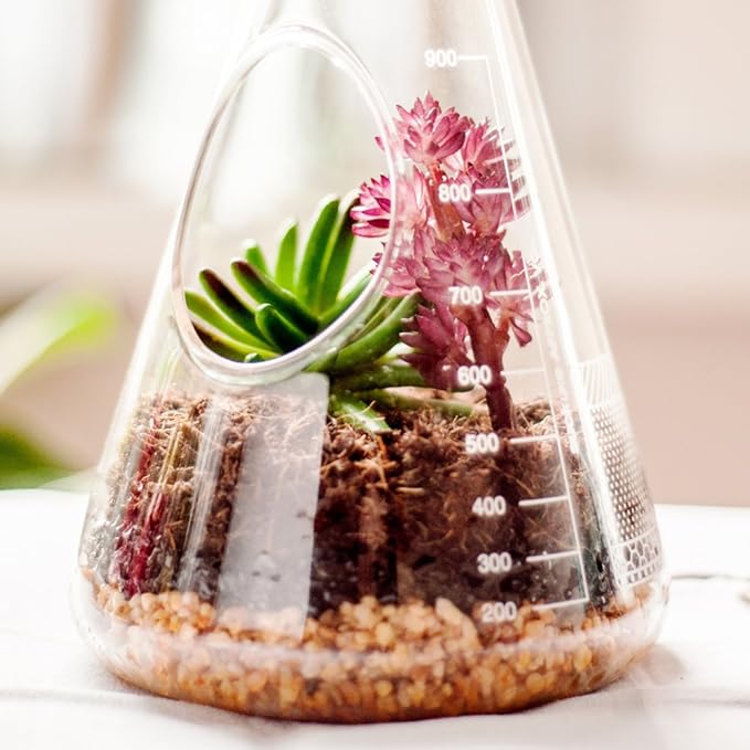 Suck UK Terrarium Chemistry Set | Chemistry Flask Terrarium Kit for Indoor Plants | Terrarium Kit for Kids & Adults | Glass Terrarium with Soil for Succulent Plants | Mini Ecosystem |