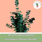 Eucalyptus for Shower Live Plant Real Bundle Fresh Stems Hanging Plants for Bathroom Leaves for Home Office Wedding Birthday Gift (Large Bunch - 15 pcs)(Heat Pack Included)