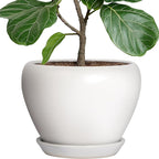 Deep Dream 10 Inch Plant Pot- Ceramic Planter Pot Round Plant Pots for Indoor Plants Outdoor Large Flower Pot with Drainage Holes & Trays, White