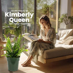 American Plant Exchange Kimberly Queen Fern – 10-Inch Pot – Live Air Purifying Upright Fern, Easy Care Houseplant for Indoor Planters, Outdoor Baskets, or Patio Decor