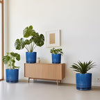 12 Inch Pot for Plants - Ceramic Planter for Indoor Plants Large Plant Pot with Drainage Holes and Saucer Outdoor Flower Pot Decorative Round Planter for Porch Office Decor Blue