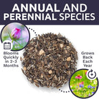 Wildflower Seeds Butterfly and Humming Bird Mix - Large 1 Ounce Packet 7,500+ Seeds - 23 Open Pollinated Annual and Perennial Species