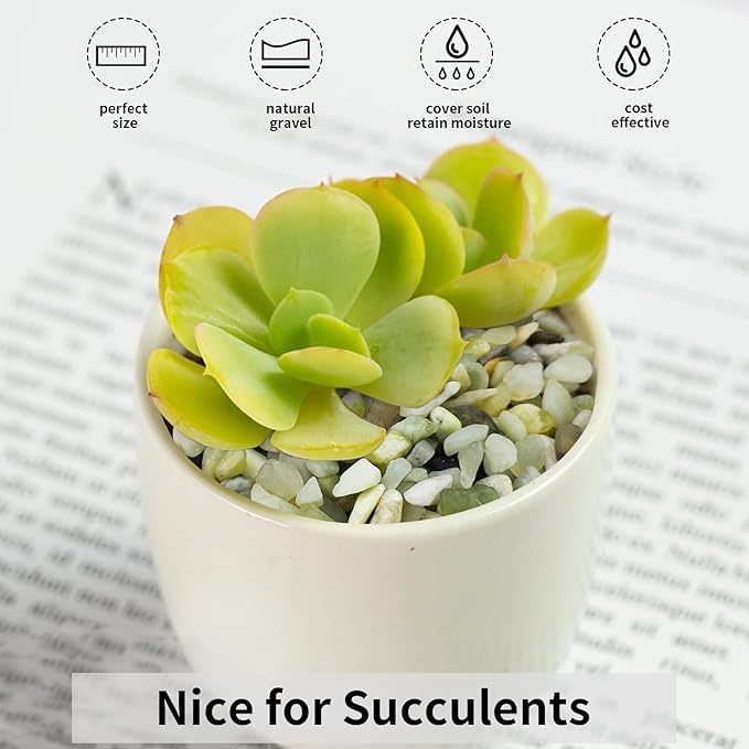 FANTIAN 10 lbs Jade Gravel Small Pebbles for Plants, 3/8 Inch Decorative Rocks for Plants Succulents Bamboo Vases Landscaping and Potted Drainage Rocks