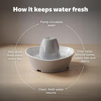 PetSafe Ceramic Pet Fountain for Cats and Small Dogs 60 Oz Water Capacity Whisper-Quiet Water Flow Great for Shy or Timid Pets Fresh, Filtered Water - Extra Carbon and Foam Filters Included