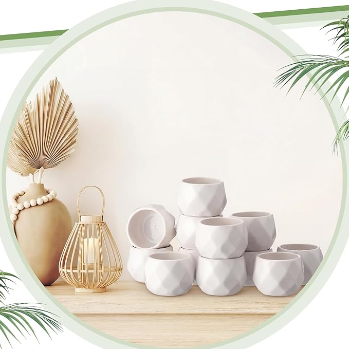 24 Pack 2.5 Inch Mini Succulent Plant Ceramic Pot with Drainage Hole, Small Pineapple Clay Garden Planter for Succulents, Cactus, DIY Easter Spring Craft Activity(White,Fashion)