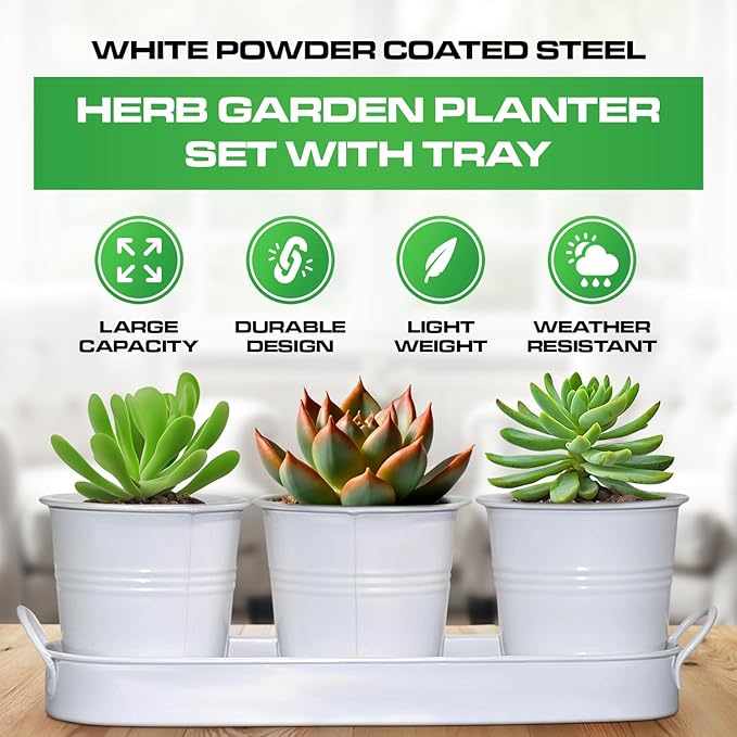 Plexon Herb Planter Indoor Garden Set of 3 with Tray, Metal Herb Pots for Indoor Plants, Round Kitchen Garden Kit Ideal for Windowsill Planter or Countertop, White Powder Coated