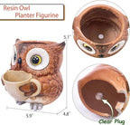 Saysmile Unique Owl Plant Pots Indoor, Cute Small Succulent Pots with Drainage Hole, Watering Owl Planters for Indoor Outdoor Plants, Resin Flower Pot for String of Pearls, Gift Ideas for Mother